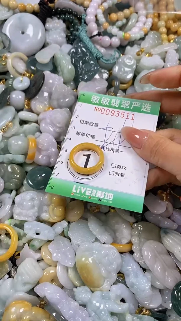 【闪购商品】翡翠颈饰未镶嵌闪购0093511