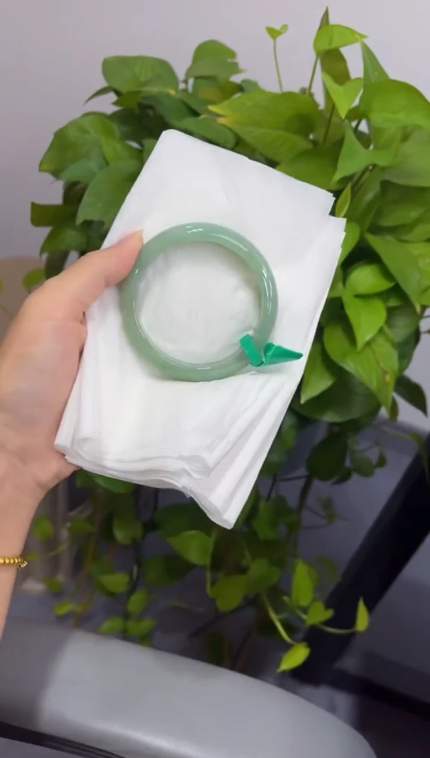 未镶嵌手镯翡翠0000006