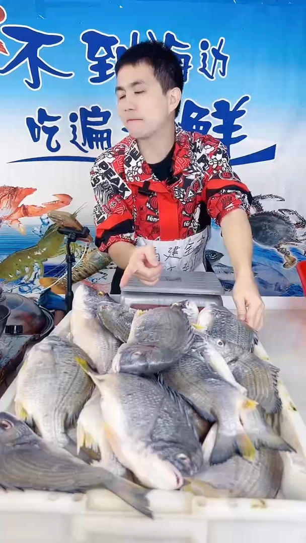 中国大陆随**过海杂鱼五斤