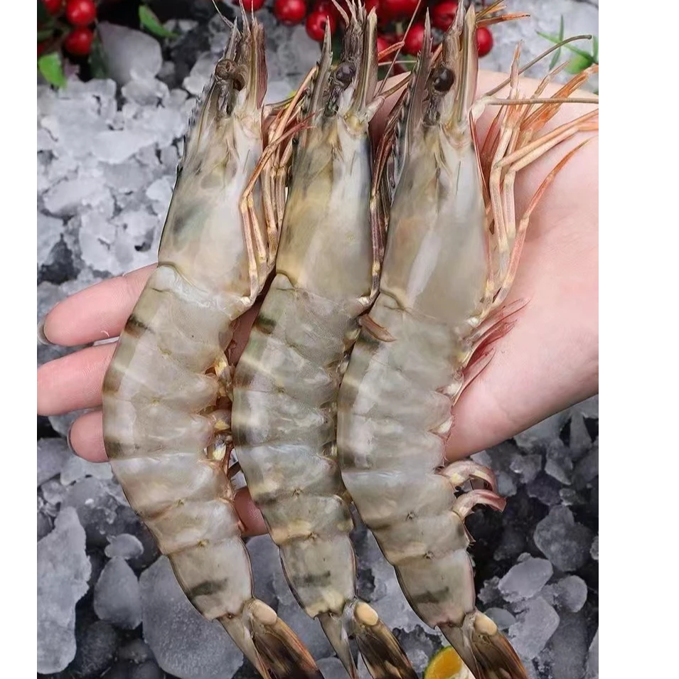 新鲜大号黑虎虾21/25规格 肉质Q弹鲜甜 营养美味 3斤/盒