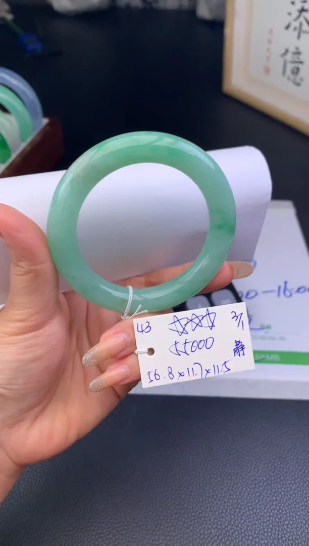 未镶嵌手镯翡翠假一赔三   手镯