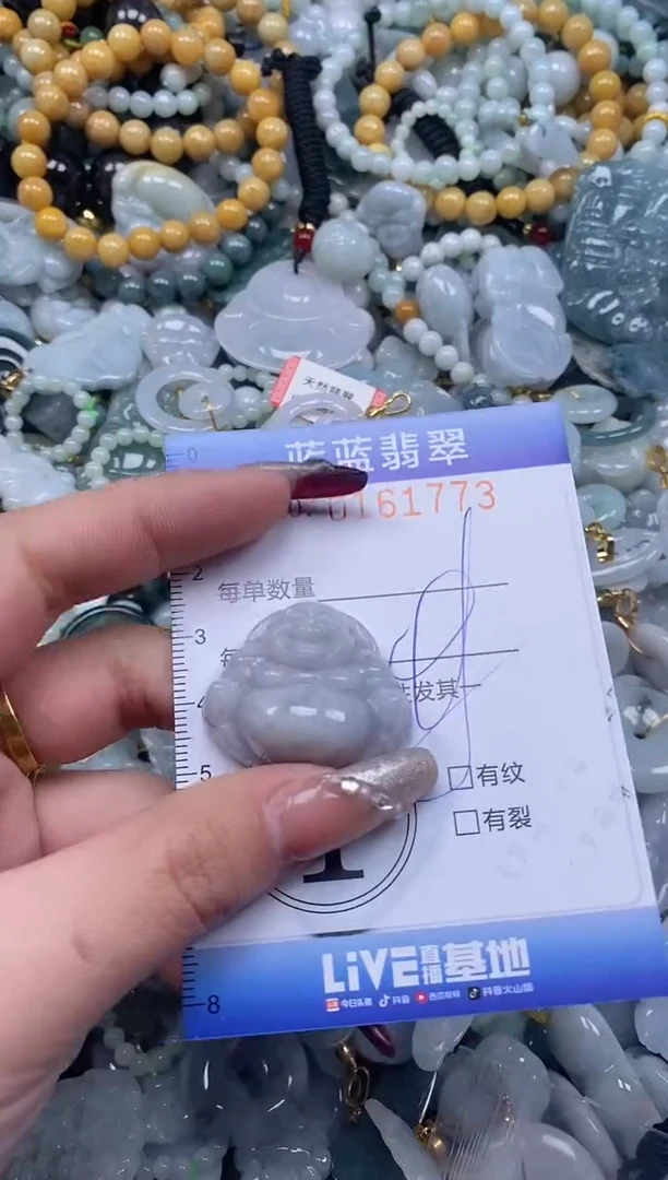 【闪购商品】翡翠颈饰未镶嵌闪购0161773