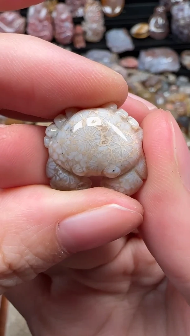 颈饰未镶嵌硅化珊瑚（珊瑚玉）267