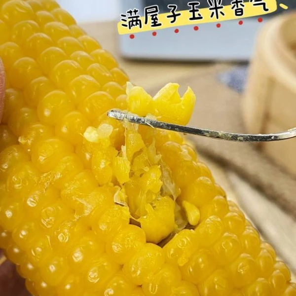 东北甜糯玉米发10根