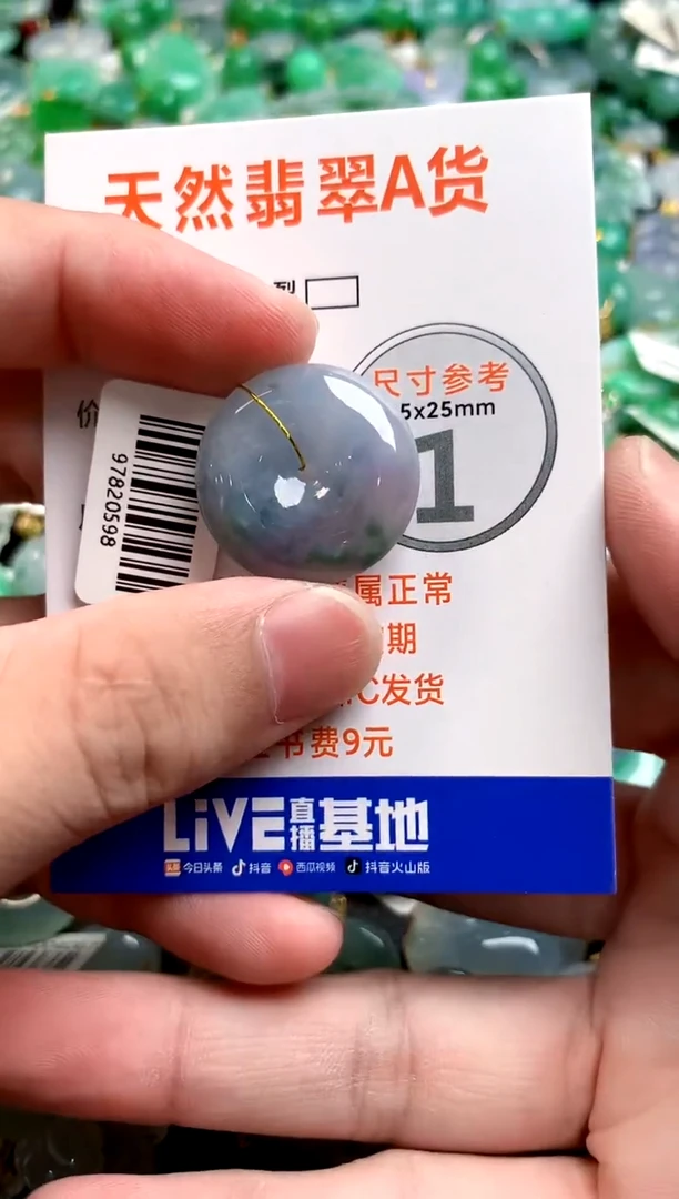 颈饰未镶嵌翡翠0198123727