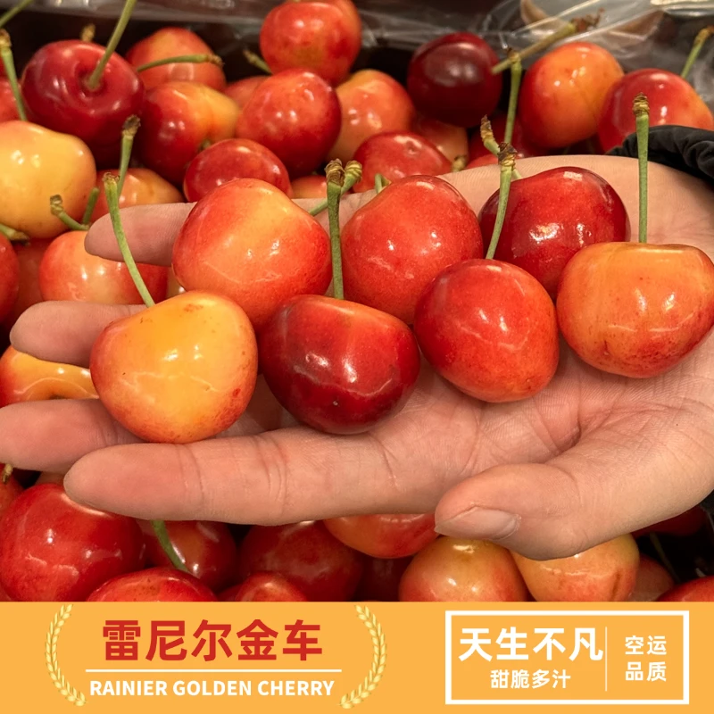 森叔源选 智利空运RAINIER金车1-5J/1-4斤内附果径卡【顺丰包邮】