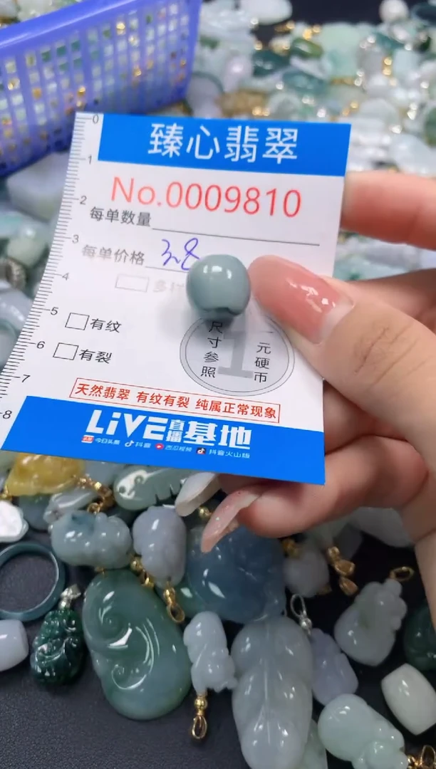 翡翠未镶嵌颈饰9810