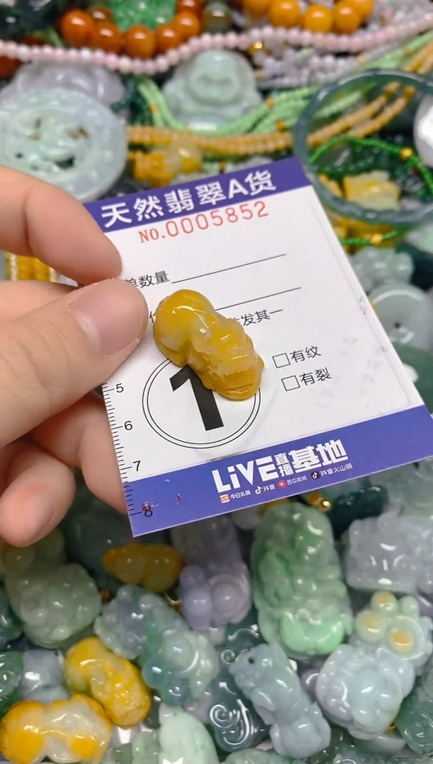 颈饰未镶嵌翡翠0005852