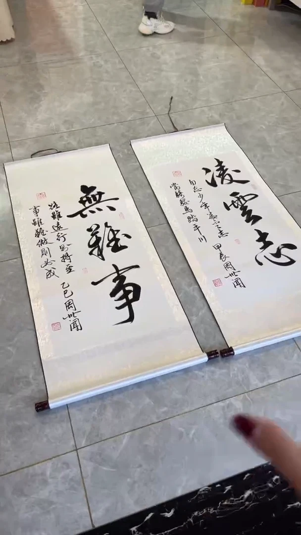 【闪购商品】书法凌云志+无难事 白 周