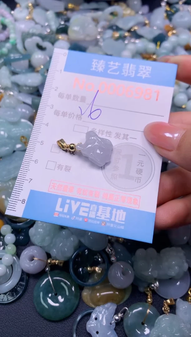 颈饰未镶嵌翡翠6981