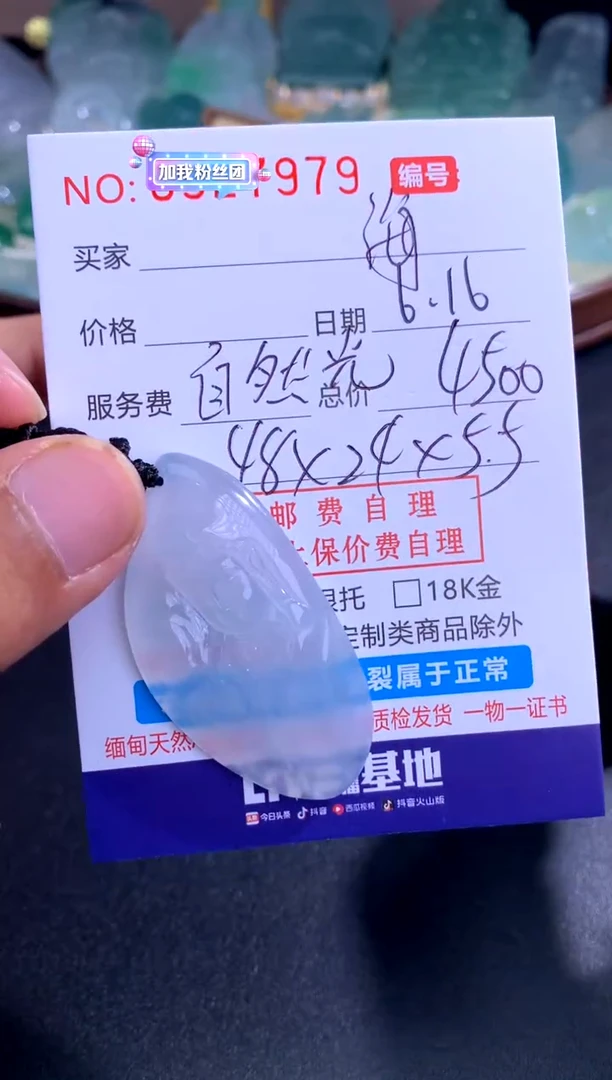 翡翠未镶嵌颈饰海****子海