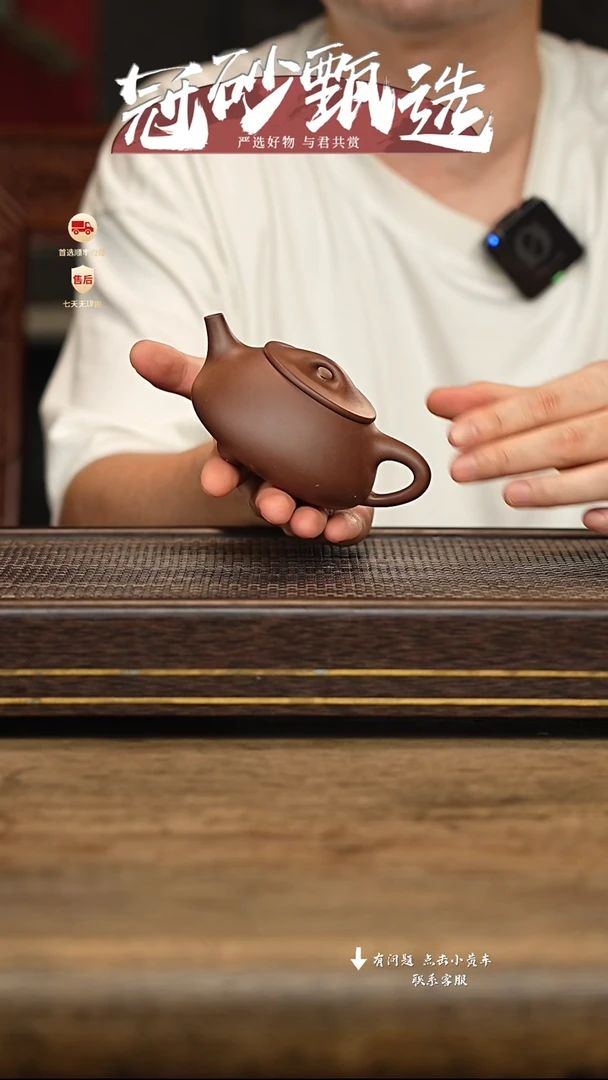 茶壶紫砂冠砂甄选103