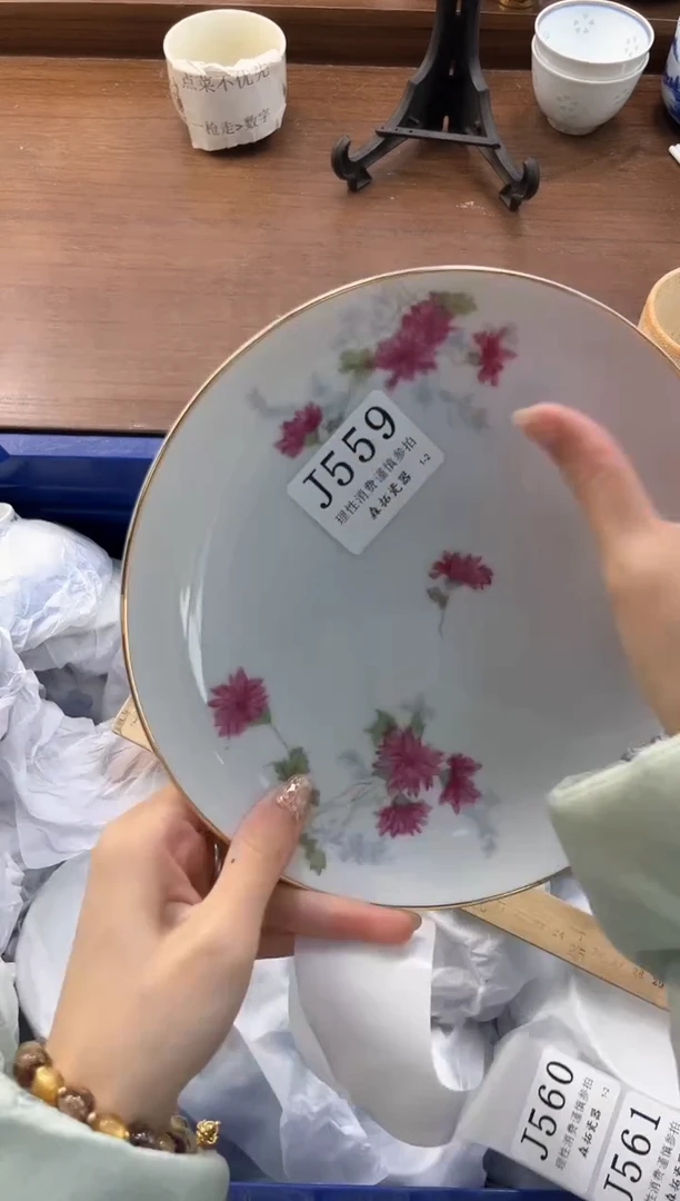 【闪购商品】瓷片----------J559