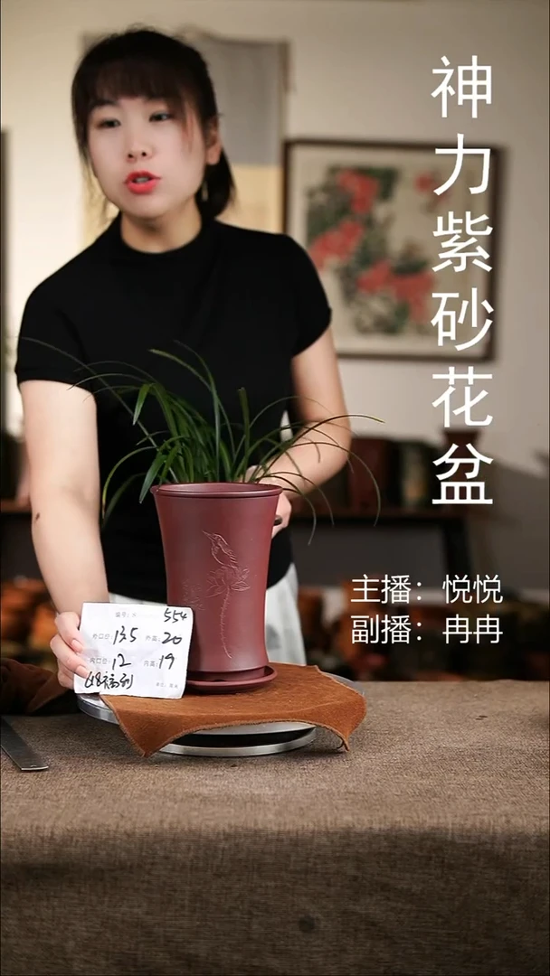 紫砂花盆紫砂花盆554+z