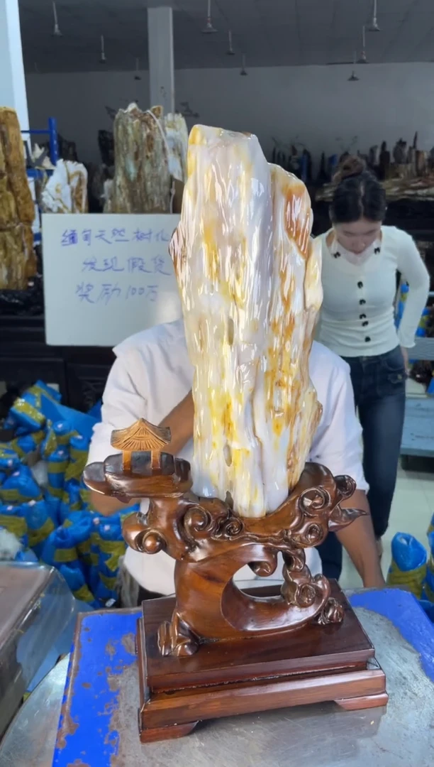 未镶嵌摆件硅化玉32