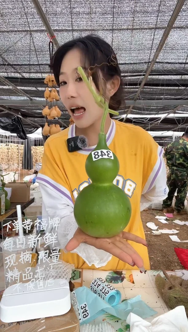 348天然葫芦摆件 一物一拍龙头不保售后