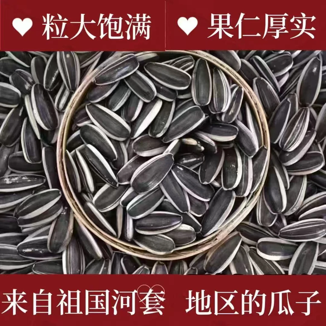 到手2斤产地内蒙原味熟瓜子大颗粒葵花籽新鲜可食休闲坚果炒货A/