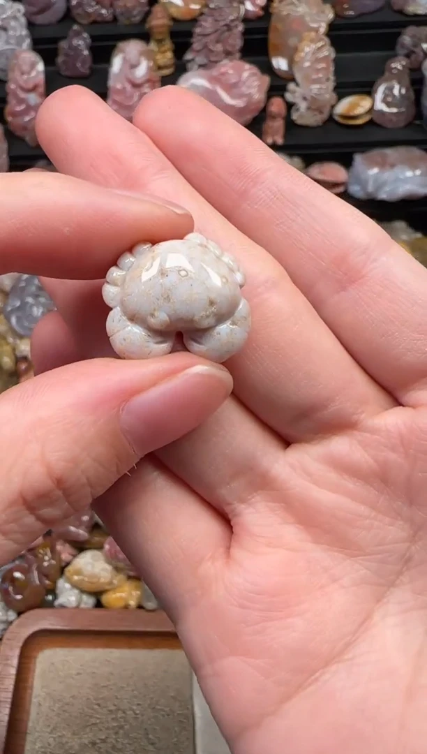 颈饰未镶嵌硅化珊瑚（珊瑚玉）084