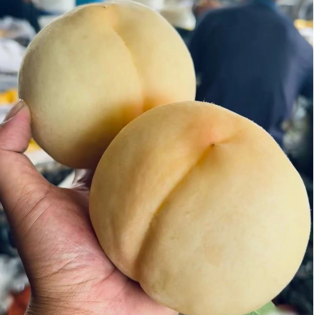 【顺丰包邮】湖北稀有品种-(脆甜白玉桃 )新鲜现摘夏日应季水果