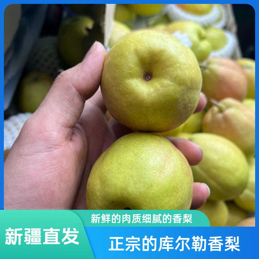 新疆库尔勒香梨全母梨果王皮薄、肉质细腻135克-160克【毛兰侃谈】