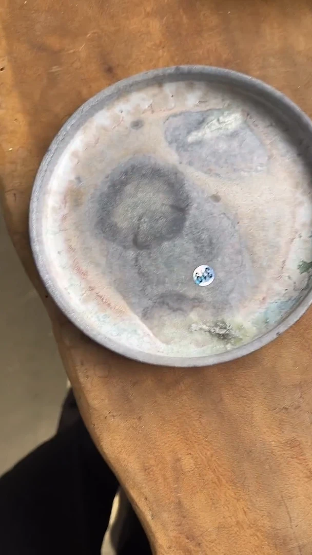 壶承319号微瑕有虫洞大漏价