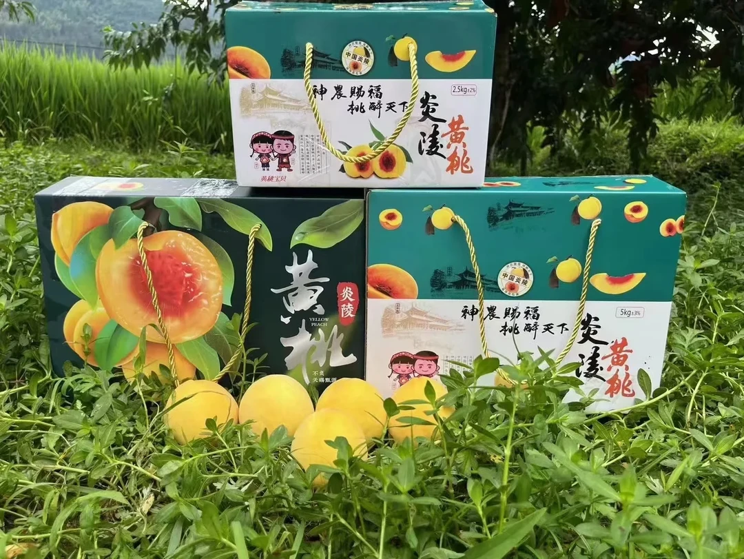 高山现摘红心脆甜炎陵黄桃新鲜水果