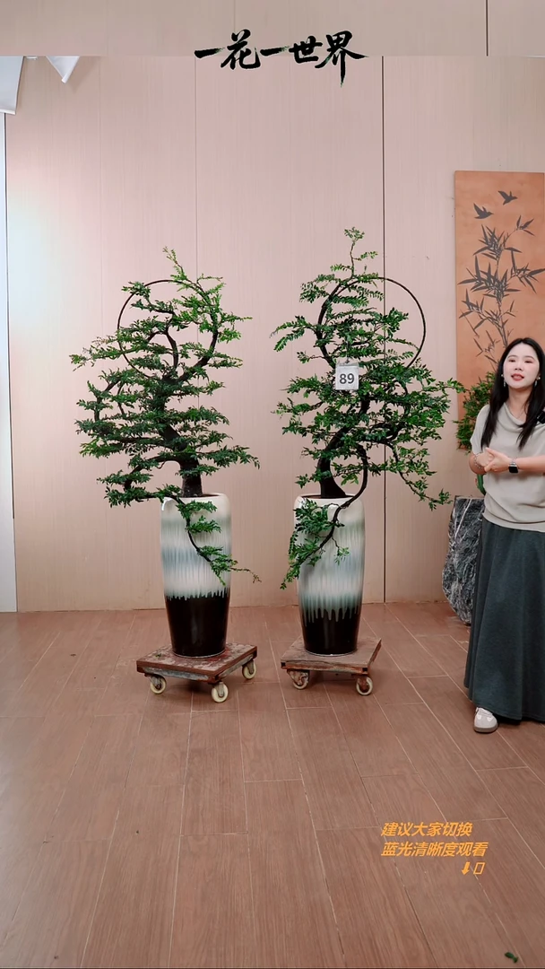 无花朵很*看两颗花好月圆链接