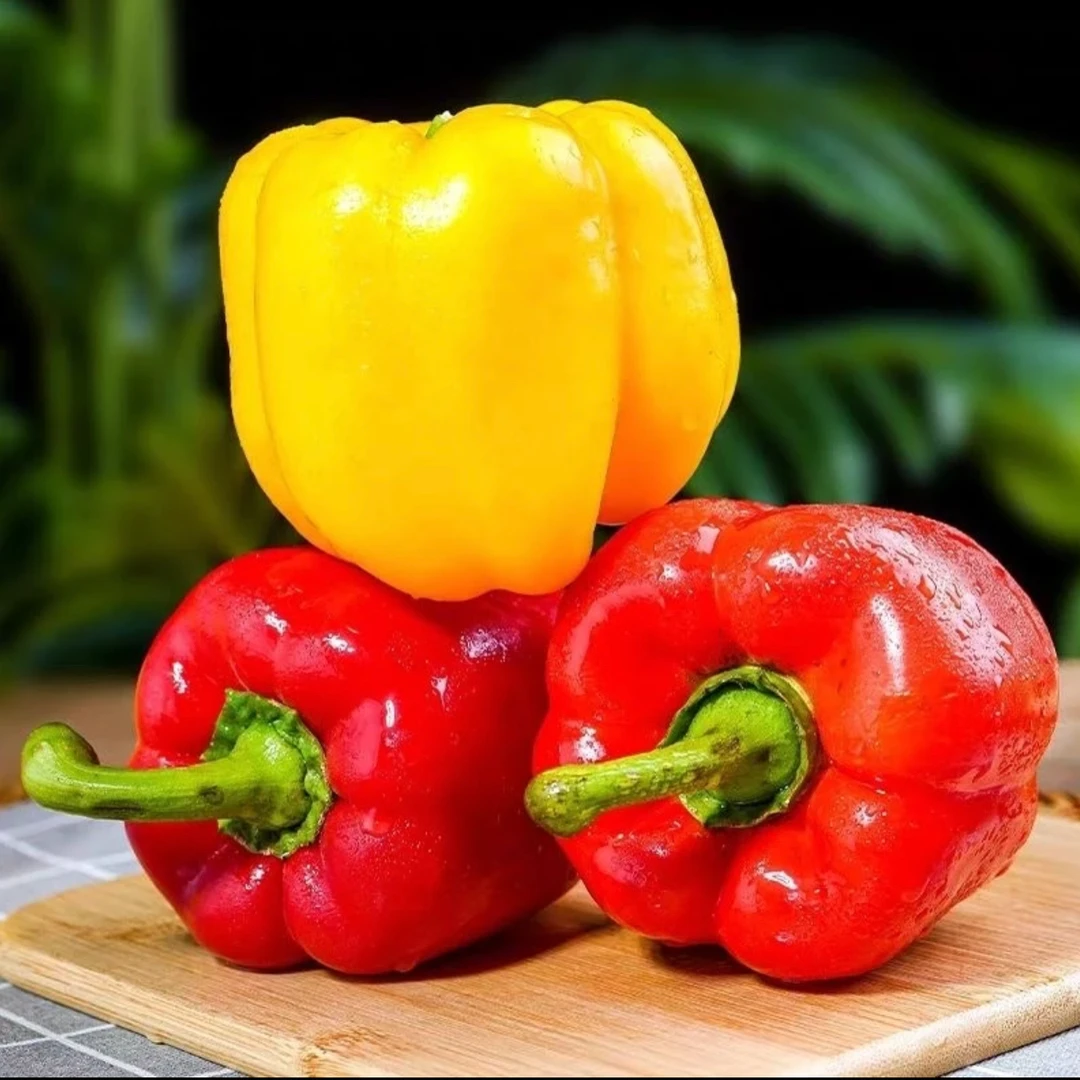【汇峰农场】水果彩椒 顺丰包邮