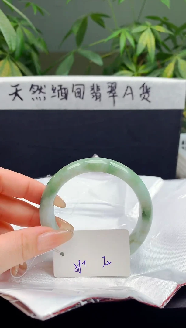 未镶嵌手镯翡翠117