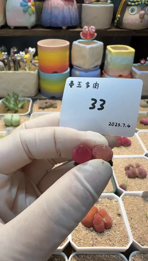 ❤****️25.7.4-33遇见美好
