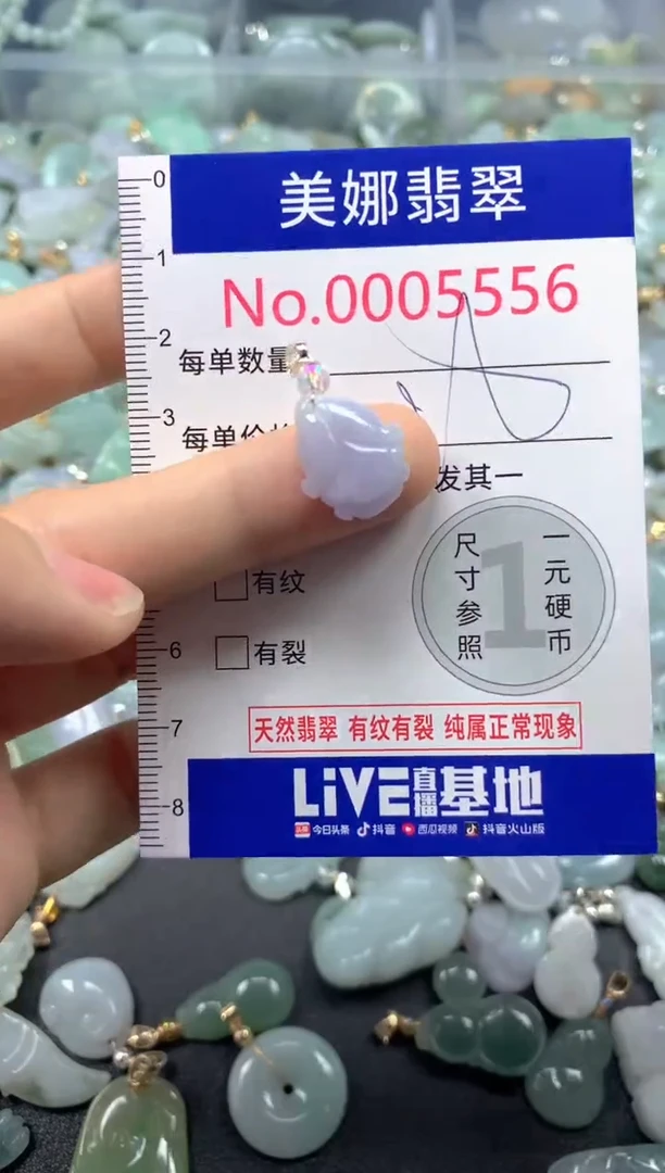 颈饰未镶嵌翡翠5556