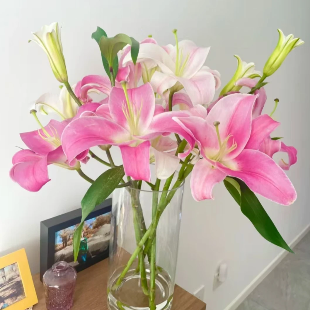 【随机混拼单头百合】【0度以下气温不拍保温棉不售后】