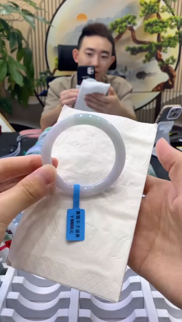 未镶嵌手镯翡翠48765