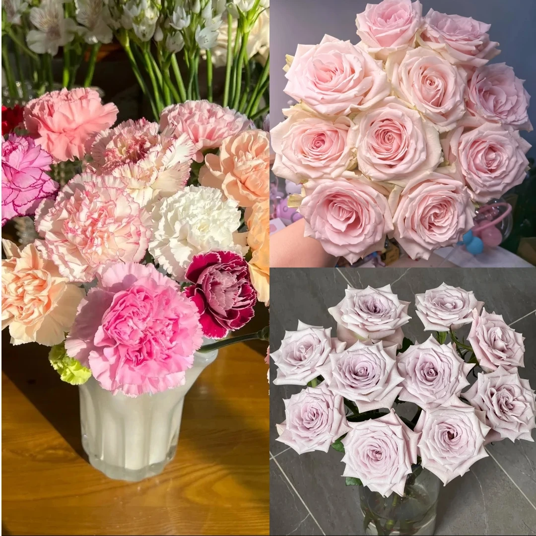 限定福利组合【曼塔10枝+粉玫瑰10枝+康乃馨5枝+配草一份】鲜花次日达直播品质鲜花 全场任意满两单顺丰包邮