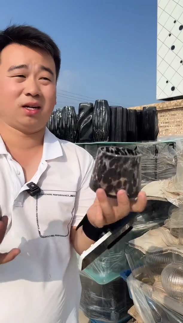 花瓶水培摆件家居插花装饰两支