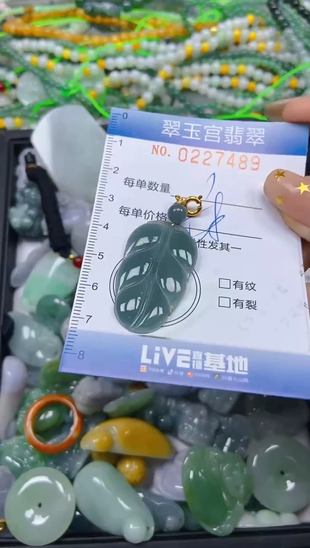 颈饰未镶嵌翡翠闪购C0227489