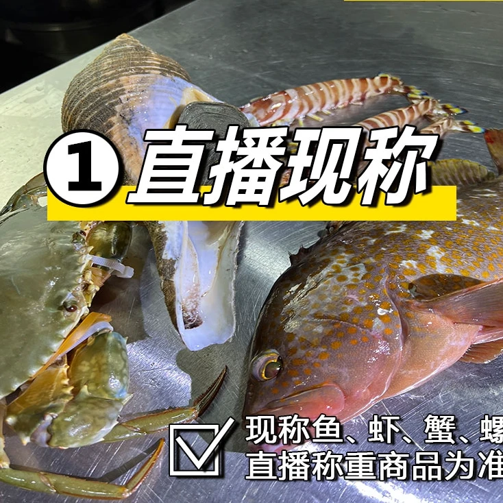 祥芝{海源活鲜}【直播现称 1 号】   鱼   虾   蟹   螺
