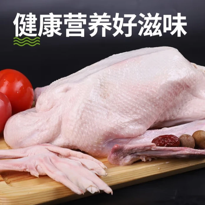 【鹅掌柜】整鹅 新鲜冷冻生鲜整鹅散养新鲜宰杀煲汤卤味营养