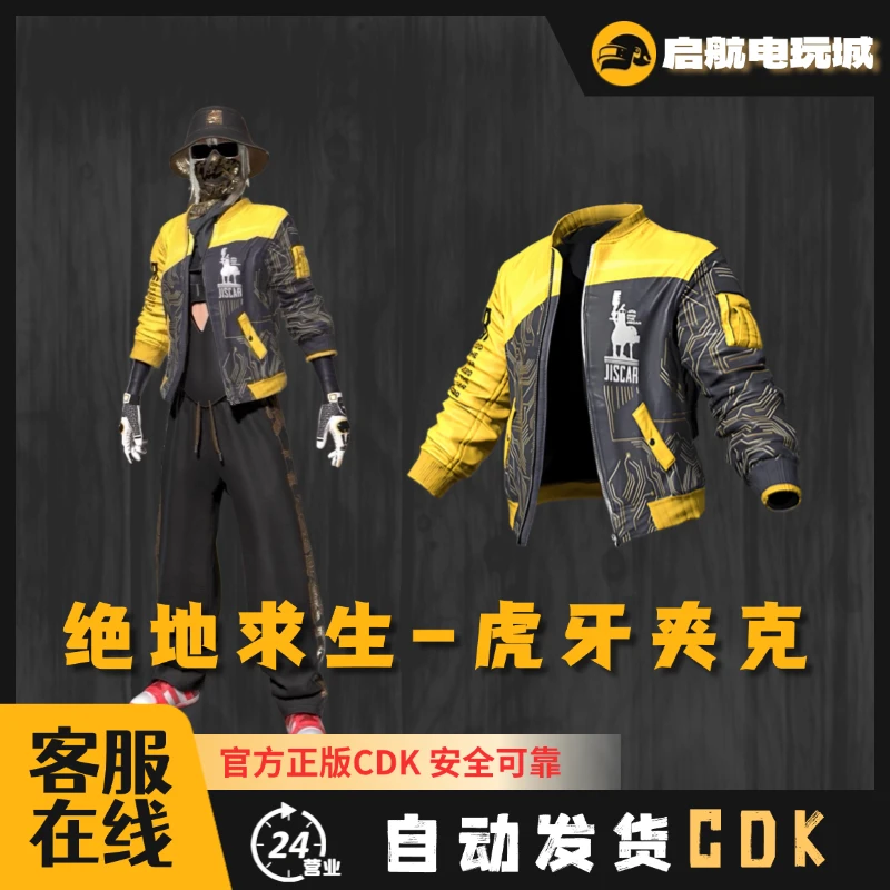 steam绝地求生pubg虎牙夹克CDK兑换码24小时自动发货秒拍秒发