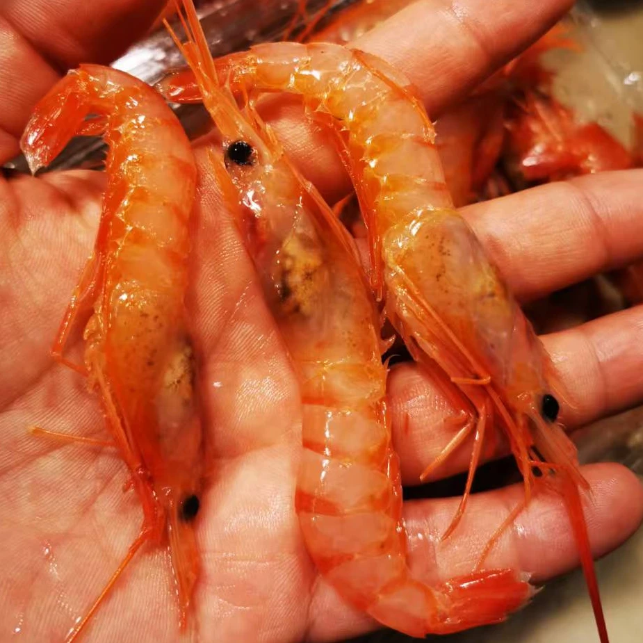 【宁东宴】六横岛野生毛竹节红虾500g/盒  到手2盒  500g一盒