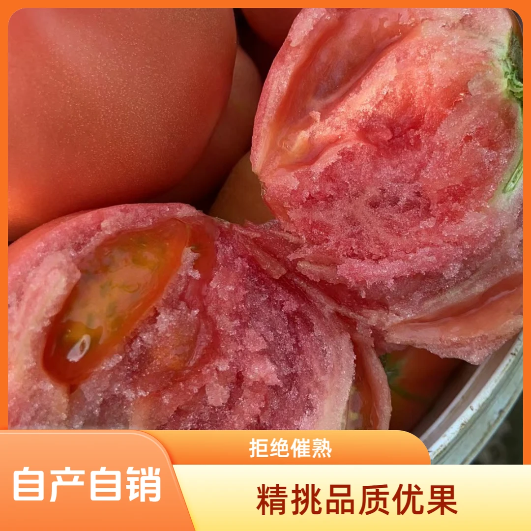 红粉9号老品种沙瓤西红柿酸甜适中