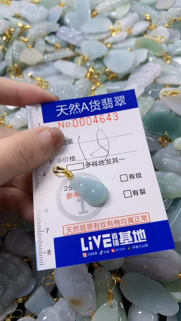 颈饰未镶嵌翡翠天然A货翡翠