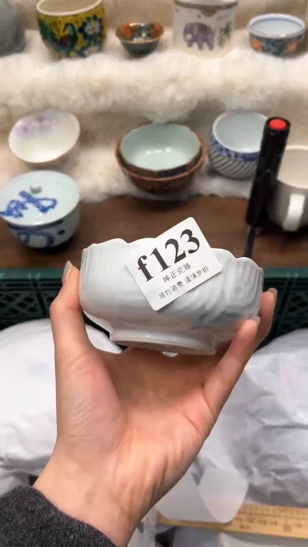 【闪购商品】瓷片          f123