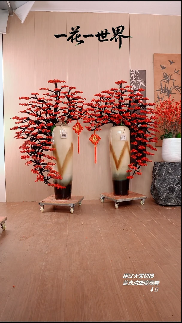完全开放糖*侣一对北美冬青链接