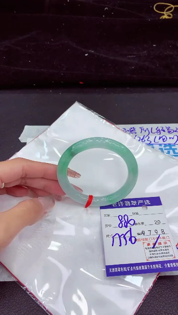 未镶嵌手镯翡翠111111111111