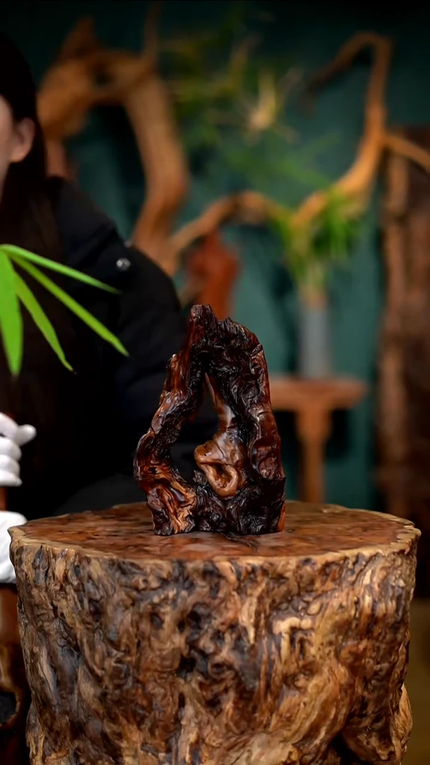 木老**龙雷击枣木半壁江山