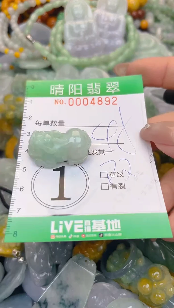 颈饰未镶嵌翡翠闪购0004892