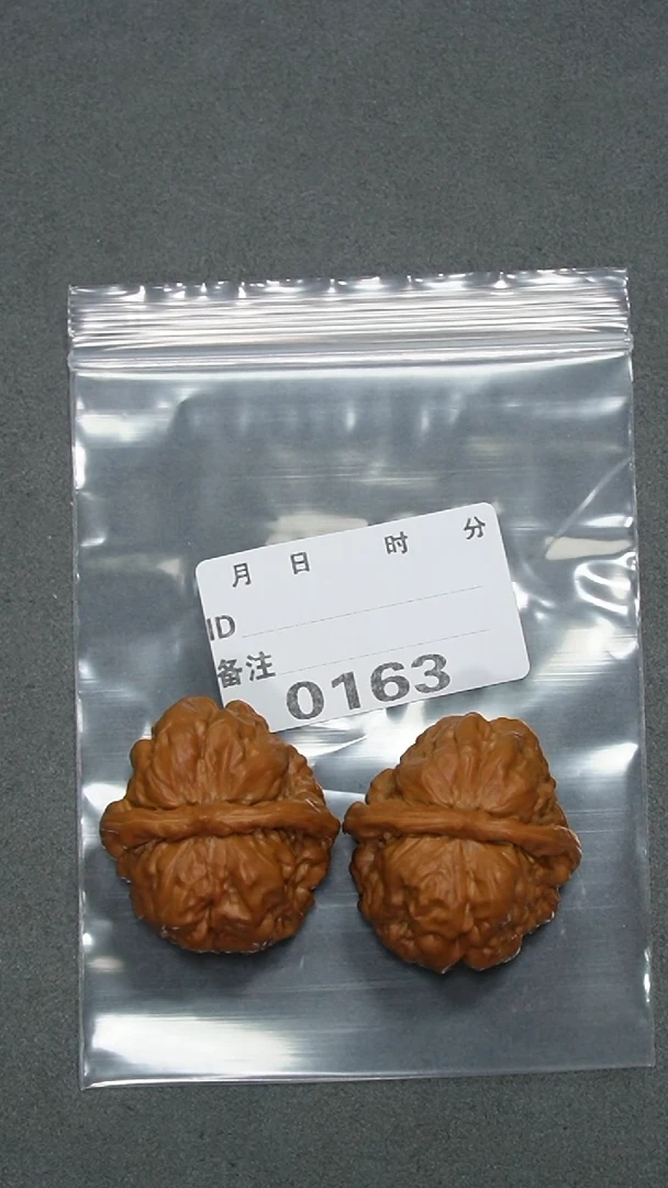 【闪购商品】文玩核桃把件38蛤蟆头