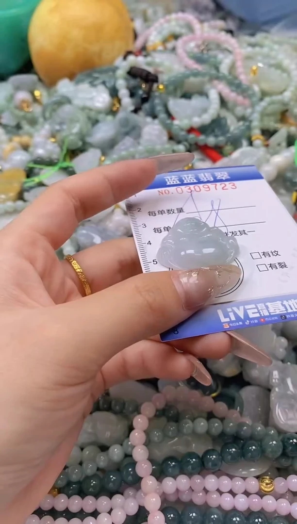 翡翠未镶嵌颈饰闪购0309723