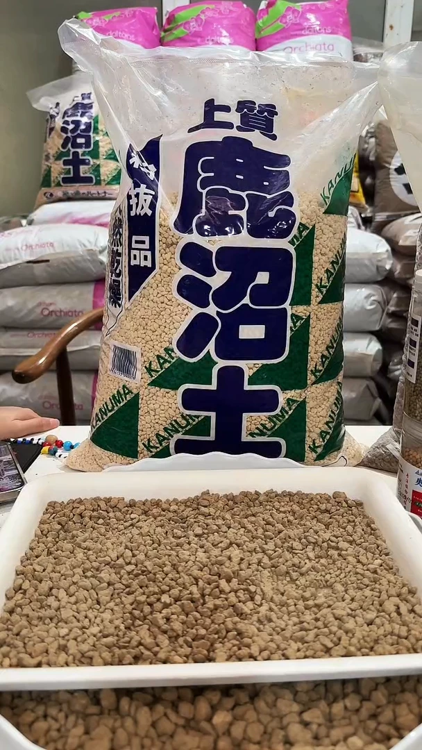 3-6鹿沼土酸性植物